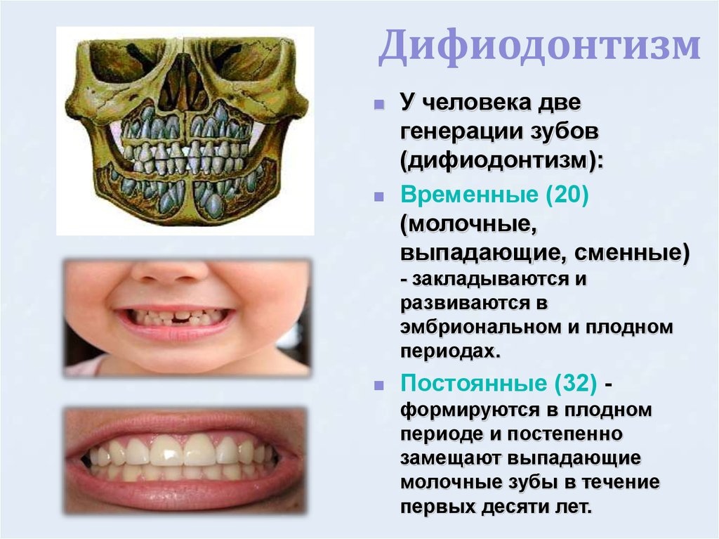Все ли зубы молочные у детей меняются